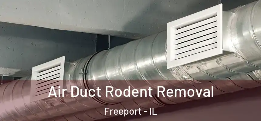  Air Duct Rodent Removal Freeport - IL