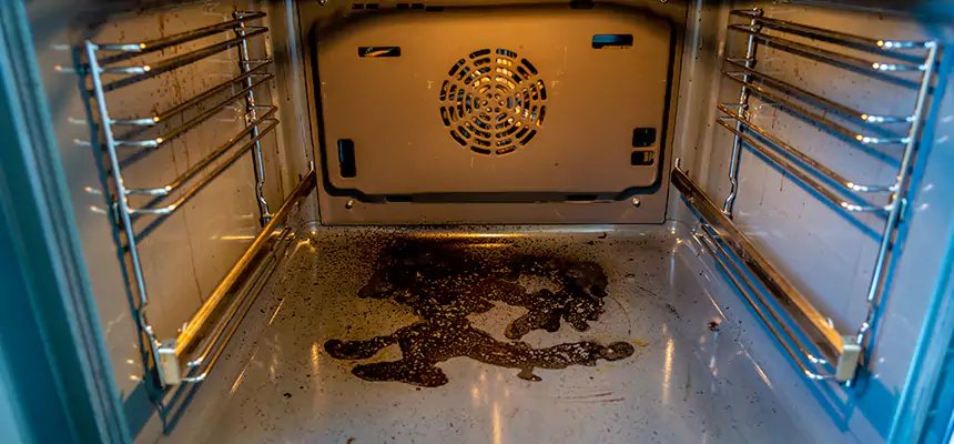 Our Dryer Vent Mold Cleaning Services in Freeport, IL