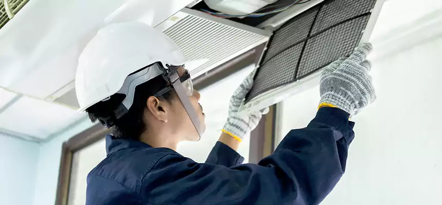 Our Mold & Mildew Removal from Air Ducts Services in Freeport, IL