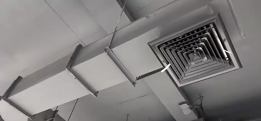 Our Pest Removal From Ducts Services in Freeport, IL