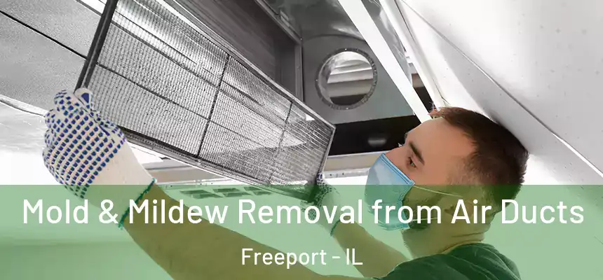  Mold & Mildew Removal from Air Ducts Freeport - IL