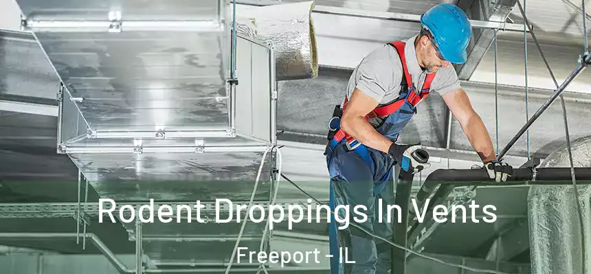  Rodent Droppings In Vents Freeport - IL