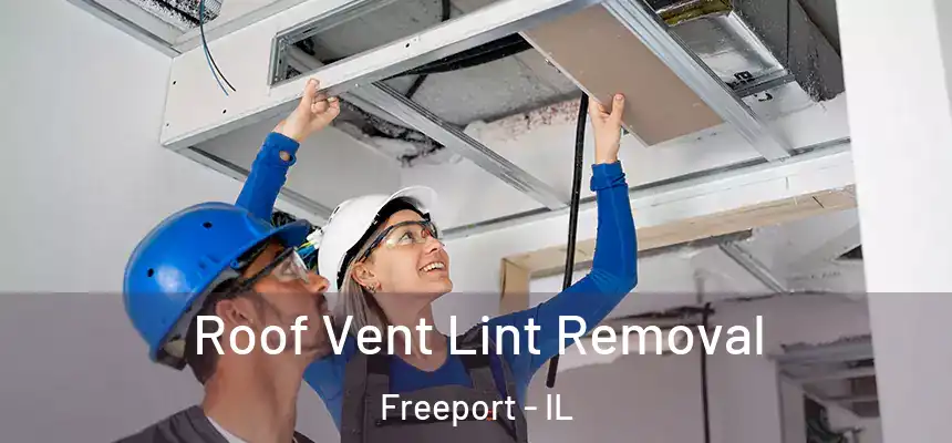  Roof Vent Lint Removal Freeport - IL
