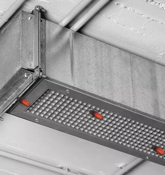 About Air Duct Cockroach Removal in Freeport, IL