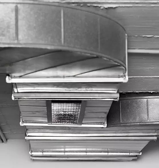 Professional Air Duct Pest Removal in Freeport, IL