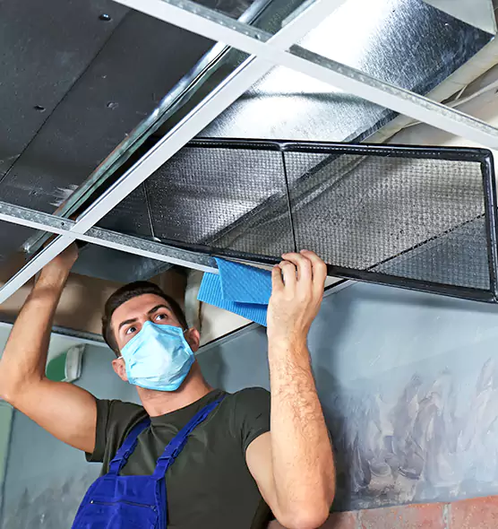 Professional Air Duct Pollen Cleaning in Freeport, IL
