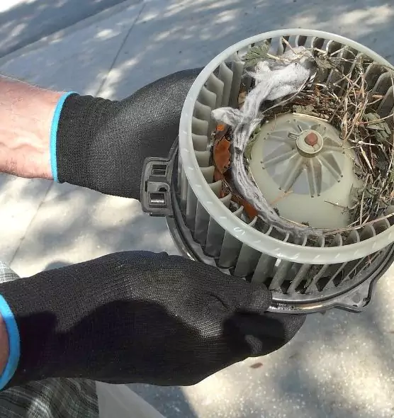 About Air Duct Rat Removal in Freeport, IL