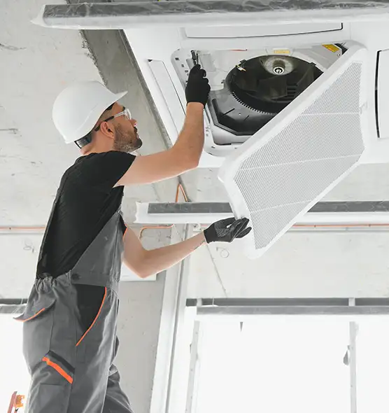 About Air Duct Rodent Removal in Freeport, IL