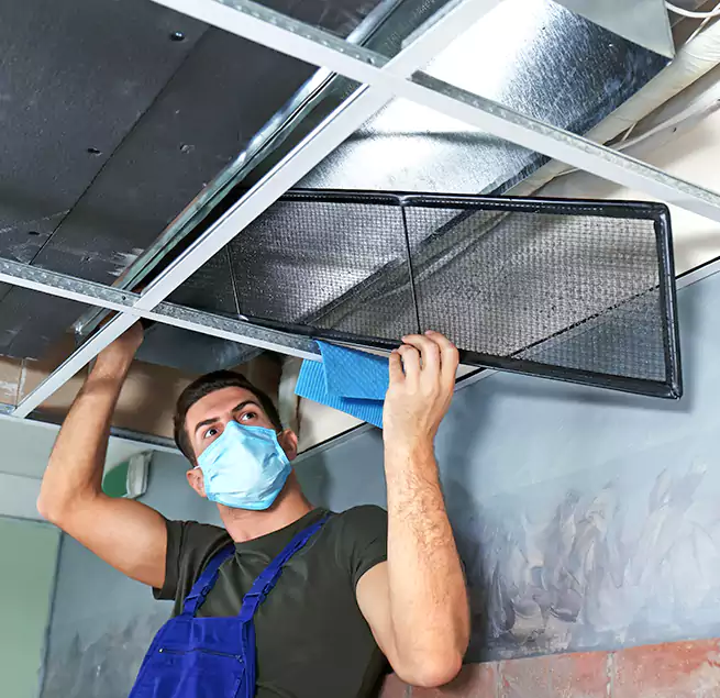 Why Homeowners Businesses Trust Us in Freeport, IL